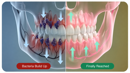 Healthier gums and fresher breath in 14 days or less